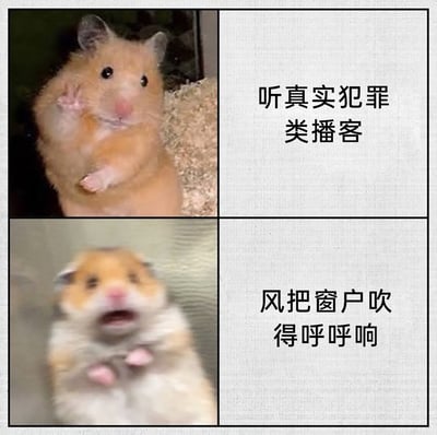这是一张采用上下拼接形式的趣味梗图，上半部分展示了一只神态淡定的仓鼠，它端正地坐着，抬起一只爪子，旁边配文“听真实犯罪类播客”，表现出人在收听这类惊险内容时的从容心态；下半部分则是同一只仓鼠，它张嘴露齿，眼神慌乱，身体呈现出颤抖模糊的状态，配文“风把窗户吹得呼呼响”，生动表现出在听到现实里的小异响时的极度惊恐。整幅图通过强烈的状态反差，调侃了很多人在收听犯罪类内容时看似大胆，却对日常小动静极度敏感的反差心态，充满了搞笑的生活趣味。