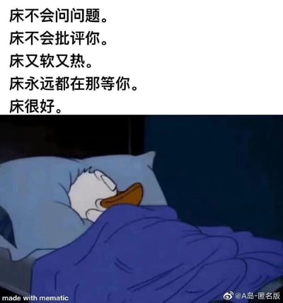 这是一张治愈类生活梗图，上方以直白的文字罗列了床的诸多暖心特质：不会追问、不会批评，柔软温暖且始终在原地等待，最后用一句“床很好”总结，精准戳中人们在面对生活压力时，渴望从床的怀抱中获得慰藉的心情；下方搭配迪士尼经典动画《米老鼠和唐老鸭》里唐老鸭放松躺在床上睡觉的截图，画面温馨，和上方文字形成完美呼应，传递出满满的安心感，能让疲惫的人产生强烈共鸣。