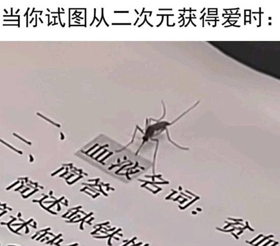 现实生活