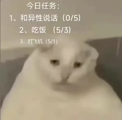 一张幽默搞笑的图片，展示了一只表情严肃的白猫，上方配有今日任务清单。任务包括：和异性说话(0/5)、吃饭(5/3)、打飞机(5/1)。通过夸张的进度对比，幽默地表现了社交困难者的生活状态，其中吃饭和打飞机任务超额完成，而社交任务完全未完成。