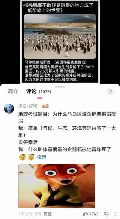 这是一张B站评论区的截图梗图，上方首先搭配企鹅群聚集在海滩的照片，科普马尔维纳斯群岛（英国称福克兰群岛）因英阿马岛战争遗留了150个雷区、共计约2.5万颗未引爆地雷，由于企鹅体重较轻不足以触发地雷，雷区意外成为了企鹅的自然保护区。下方是B站用户“椰奶-好喝_”发布的趣味评论，调侃自己遇到地理考试题目询问马岛企鹅普遍偏瘦弱的原因时，写了一堆气候、生态、环境相关的答案，最后得知标准答案是体重偏重的企鹅都触发地雷被炸死了，还搭配了《疯狂动物城》中尼克震惊错愕的表情包，充满反差搞笑效果。