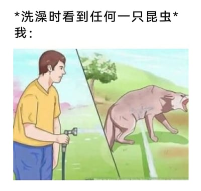 这是一张搞笑改编梗图，图上方配有文字“*洗澡时看到任何一只昆虫*我：”，下方画面展示了一个穿着黄色上衣、蓝色裤子的卡通人物手持喷水水管，向镜子方向喷水，而镜子里的倒影并非人物本身，而是一只被水喷到身体弓起、大张着嘴、毛发炸起的狼。这张图用视觉错位的反差效果，夸张地表现了人们在洗澡时看到昆虫后，会用淋浴喷头疯狂喷射昆虫的激烈反应，将自己的状态比作被水刺激的狼，充满了诙谐的调侃感，精准戳中人们对洗澡时出现的小昆虫的抗拒情绪。