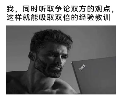 这是一张经过改编的网络职场梗图，采用图文混排的形式，上方配有自嘲式的文字“我，同时听取争论双方的观点，这样就能吸取双倍的经验教训”，下方是改编自国外“Giga Chad”硬核强者梗图的形象：一名拥有夸张健硕肌肉的男性赤裸上身，神情严肃专注地盯着面前的ThinkPad笔记本。整张图用极具反差感的强者形象，调侃职场中一种“不参与争执，而是旁观双方矛盾，从中获取双重经验教训”的生存智慧，充满幽默和自嘲的氛围，精准戳中职场人想要高效避坑、积累经验的心态。
