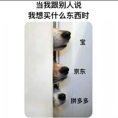 这是一张吐槽电商平台大数据监听现象的搞笑表情包，图片顶部配有说明文字“当我跟别人说我想买什么东西时”，下方主体画面是三只狗狗依次从门缝探出鼻子，仿佛在偷听的样子，三只狗狗旁从上到下分别标注了“宝”（代指淘宝）、“京东”、“拼多多”三个国内主流电商平台，形象地调侃了用户刚口头提及想要购买某件商品，就会收到相关电商平台推送的情况，生动表达了用户觉得自己被平台监听的趣味感受。