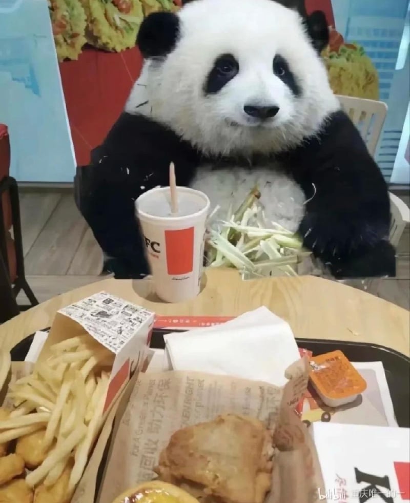 熊猫头