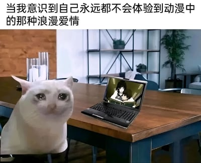 图片上方有文字'当我意识到自己永远都不会体验到动漫中的那种浪漫爱情'，下方是一只表情悲伤的猫坐在桌子前，桌子上放着一台笔记本电脑，屏幕上显示着一对动漫人物的浪漫场景。这张图片通过猫的拟人化表情和文字内容，幽默地表达了现实中人们对动漫中浪漫爱情的向往与失落感。