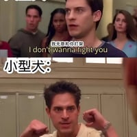 蜘蛛侠缩略图