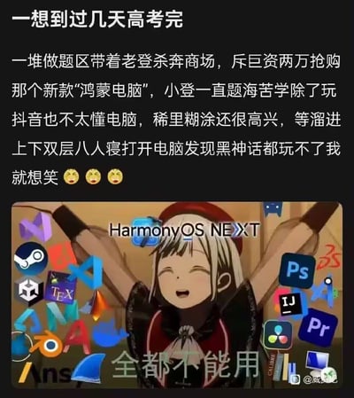 这张梗图调侃高考结束后，学生购买带有最新鸿蒙系统（HarmonyOS NEXT）的电脑，结果发现自己熟悉的软件（如Steam、VS Code、PS等）全部都不兼容，无法使用。配文描述了一位高考生带着父母花重金买新电脑，结果电脑全新的系统没法用常用软件的尴尬和无奈场景。笑点集中在“努力升级硬件，最终还是啥都不能玩”，契合年轻人常见“幻想与现实落差”之梗。

梗图还集合了大量软件图标，暗示新平台生态尚未成熟。没有明显双关，但带有科技圈“生态荒漠”这一流行吐槽点。

