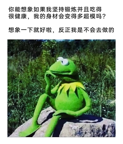 这是一张图文结合的搞笑梗图，上方配有两段自嘲式文字，先提出“坚持锻炼健康饮食就能拥有超模身材”的美好畅想，紧接着话锋一转表示“反正我是不会去做的”，精准戳中很多人渴望变优秀却不愿付出行动的摆烂心态。下方是经典布偶角色科米蛙，它坐在户外的石头上，手托下巴、眼神放空，一脸畅想的慵懒姿态和文字内容完美契合，用幽默的方式表达了当代人在自律和躺平之间的纠结与摆烂选择。