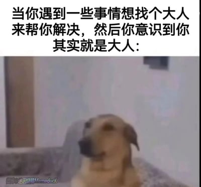 这是一张图文结合的搞笑表情包，上方的文字精准描述了当代成年人的一种普遍心境：当遇到棘手的事情时，还保留着孩童时期想找大人帮忙的惯性思维，却在瞬间反应过来自己已经是需要独当一面的大人了。下方搭配了一只表情模糊、神态茫然无措的狗，将那种突然意识到现实后的错愕、无助又有点懵的情绪具象化，非常贴合成年人在面对压力时的真实心理，容易引发广泛的情感共鸣。