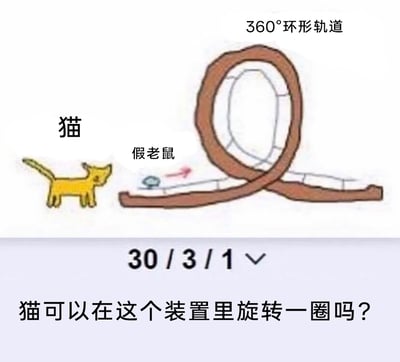 这是一张趣味视觉谜题的静态图文混排图，图中展示了一个标注为“360°环形轨道”的交叉轨道装置，装置旁有一只卡通猫，轨道上有一个假老鼠，箭头指向轨道延伸方向。图中下部标注了数字“30/3/1”，底部提出问题“猫可以在这个装置里旋转一圈吗？”。该轨道是典型的视觉错位结构，看似是360°环形，实际是平面交叉的不可能结构，无法形成闭合的环形空间，因此猫不能在这个装置里旋转一圈，这个装置利用视觉错觉误导观看者，属于测试空间认知的趣味内容。