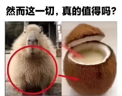 图片上方有黑色文字'然而这一切，真的值得吗？'，下方分为左右两部分。左侧是一只水豚的照片，其腹部被红色圆圈重点标记；右侧是一个被打开的椰子，内部有白色椰肉和椰汁，一根红色勺子插在椰汁中。左侧水豚腹部的红圈通过红色箭头指向右侧的椰子，形成一种关联，仿佛在质疑水豚为了椰子付出（可能指吃椰子长胖）是否值得。