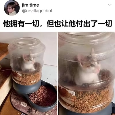 图片为左右对比的静态图，左侧和右侧均展示一只白色为主的小猫被困在透明的自动喂食器中，喂食器内装满棕色猫粮，底部有出粮口连接食盆。图片上方配有中文文字“他拥有一切， 但也让他付出了一切”，通过猫咪被猫粮环绕却无法自由活动的场景，形成“拥有食物（一切）却失去自由（付出一切）”的幽默反差效果。