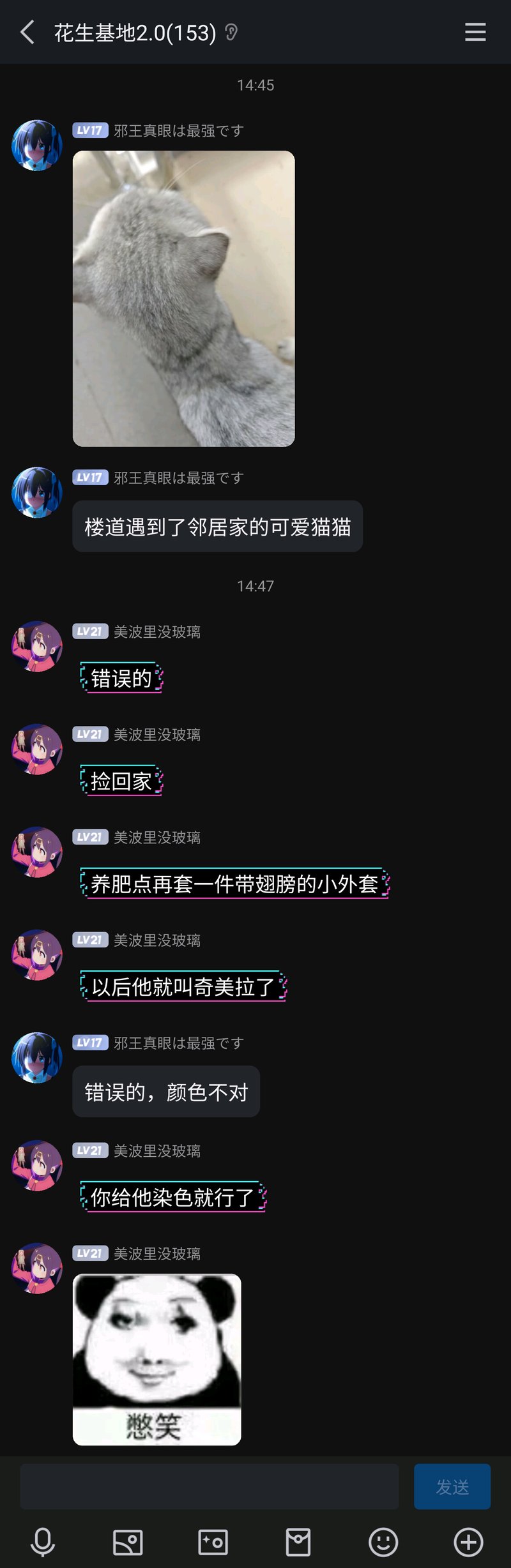 《主播女孩重度依赖》
