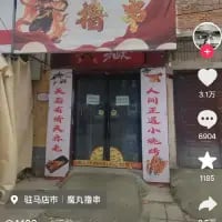 这是一张抖音平台的竖屏实拍截图，展示了位于驻马店市的“壹丸撸串”烧烤店的门头。店铺门头上有醒目的红色“撸串”大字，门两侧的竖幅分别写着“人间正道小烧烤”和“人生得意须尽欢”，充满烟火气。截图右侧带有抖音的点赞（317）、评论（6004）、收藏（1165）互动控件，底部标注了店铺的地理位置与名称，属于本地美食类分享内容。