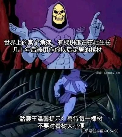 图片分为上下两部分，均使用动画《宇宙的巨人希曼》反派角色骷髅王的场景。上半部分骷髅王身着紫色斗篷，露骷髅头狞笑，双手张开配文“世界上的某个角落，有棵树正在茁壮成长 几十年后被用作你以后定居的棺材”，用死亡隐喻制造黑色幽默；下半部分骷髅王俯身持杖，配文“骷髅王温馨提示：善待每一棵树 不要对着树大小便”，以反差萌的“温馨提示”形成搞笑效果。通过夸张对比调侃式传达环保理念，兼具讽刺与娱乐性。