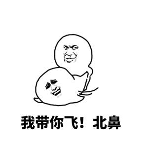 我带你飞！北鼻 表情包