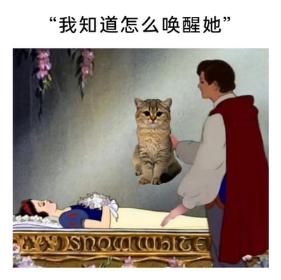 这是一张对迪士尼经典动画场景进行恶搞的P图作品。画面改编自《白雪公主与七个小矮人》中王子试图唤醒沉睡的白雪公主的经典桥段：原本王子的动作是要触碰或亲吻白雪公主，现在王子的一只手放在一只悬浮在半空中的现实猫咪身上，上方配文“我知道怎么唤醒她”。作品结合了铲屎官群体熟悉的“猫咪喜欢跳到人身上弄醒主人”的日常梗，将猫咪的日常行为与经典动画剧情结合，制造出反差感与幽默效果，暗示王子打算用猫咪的方式来唤醒白雪公主。