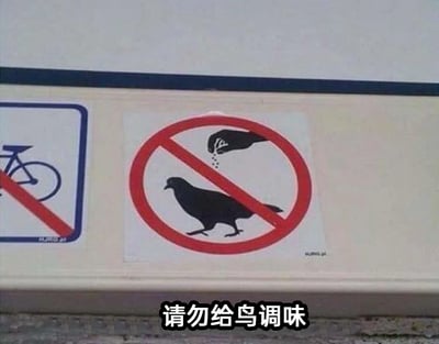 这是一张文字加注的静态搞笑梗图，画面展示了两个公共场所的禁止类标识，左侧是禁止自行车进入的标识，右侧是禁止投喂鸟类的标识，该标识图案为一只手向地面的鸟类撒落东西。图片下方添加了中文文字“请勿给鸟调味”，利用标识图案的视觉效果，将原本“禁止投喂鸟类”的规范内容，曲解成“给鸟调味”，制造出荒诞幽默的反差笑点，属于对公共警示标识的趣味二次创作。