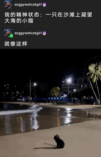 这是一张海外社交媒体的截图，用户soggywetcatgirl以《无畏契约》角色捷风作为头像，发布了两条动态来表达自己的精神状态：第一条动态写道“我的精神状态：一只在沙滩上凝望大海的小猫”，第二条动态附上一张夜晚海滨沙滩的实拍照片。照片中，一只小黑猫安静地坐在沙滩上，独自望向海面；背景里是夜晚的沙滩，明亮的路灯照亮了部分区域，椰树在灯光下显得静谧，远处的海滨建筑亮着零星灯光，海浪轻柔地拍打着沙滩，整体氛围孤寂又带着放空感。该内容用拟人化的方式，将当代人内心迷茫、孤独、想要放空的精神状态，通过沙滩上的小猫具象化，极易引发有相似心境的人的共鸣。
