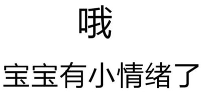 图片为纯文字内容，白色背景上有两行黑色文字，上方为单独的“哦”字，下方为“宝宝有小情绪了”。整体风格简洁，通过文字表达一种略带委屈或撒娇的情绪，常用于日常交流中表达轻微的不满或需要安慰的状态。
