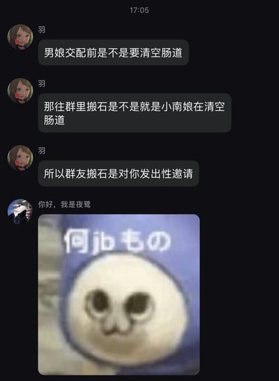 这是一张聊天记录截图，显示了用户"羽"和"你好，我是夜鹭"之间的对话。用户"羽"连续发送了三条包含低俗性暗示内容的消息，讨论所谓"男娘交配前清空肠道"等怪异话题，并将群友行为牵强附会为性邀请。随后用户"你好，我是夜鹭"回复了一张带有模糊白色圆形图案和日文文字"何jbもの"的表情包，表达了困惑或不屑的情绪。整个对话充满了网络迷因和低俗幽默元素。