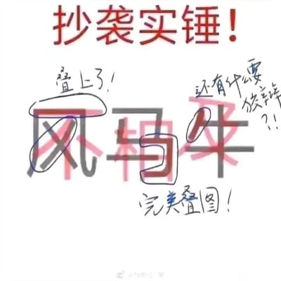 这是一张充满趣味的网络玩梗图，以模仿网络上“实锤抄袭”的举证形式来制造幽默效果。画面顶部用醒目的红色大字标注“抄袭实锤！”，核心区域将成语“风马牛不相及”拆分为“风马牛”（灰色字体）与“不相及”（红色字体）两组文字并重叠放置，同时搭配手写风格的标注：“叠上了！”点明文字重叠的状态，“完美叠图！”强化这种巧合的视觉效果，“还有什么要狡辩？！”模仿指责抄袭时的强硬语气。实际上这并非真正的抄袭指控，而是利用成语拆分后重叠的巧合进行的幽默调侃，用严肃的“实锤”形式包装无厘头的内容，反差感拉满。