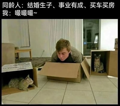 图片上方配有文字“同龄人：结婚生子、事业有成、买车买房 我：嘬嘬嘬~”，下方是一张照片，照片中一名男子趴在地板上的纸箱里，两侧各有一只猫也在纸箱中。通过对比同龄人的“成功标准”与自己沉迷逗猫的简单快乐，形成幽默的反差效果，表达了对社会时钟压力的轻松调侃。