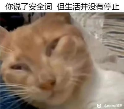 这是一张带有强烈情绪共鸣的文字加注meme图，图的上方配有文字“你说了安全词 但生活并没有停止”，画面主体是一只橘白相间的猫咪，它的表情扭曲，眼神疲惫涣散，整体状态萎靡无力，仿佛被生活的压力压得喘不过气。“安全词”原本是用于叫停特定行为的词汇，在这里被引申为人们希望叫停疲惫、糟糕的生活状态，但现实是生活并不会因此停下，猫咪的颓废状态完美呼应了当代人面对生活压力时，想逃避却又不得不继续的无奈与疲惫心境，很容易引发网友的情绪共鸣。