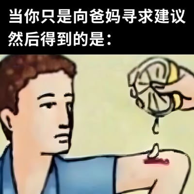 这张梗图通过幽默的方式描绘了一个常见的家庭场景：当你只是想向父母寻求简单建议时，却得到了意想不到的