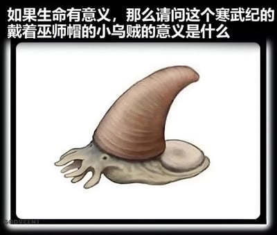 图片上方为黑色背景白色文字，内容为“如果生命有意义，那么请问这个寒武纪的戴着巫师帽的小鸟贼的意义是什么”，下方是一个白色背景的卡通插画。插画主体是一个形似寒武纪软躯体生物的形象，身体呈灰褐色，头部有一个棕色的锥形巫师帽，身体两侧有类似触手的结构，整体造型诙谐有趣。通过将远古生物与巫师帽这一奇幻元素结合，并配上关于生命意义的哲学追问，形成一种幽默的反差感。