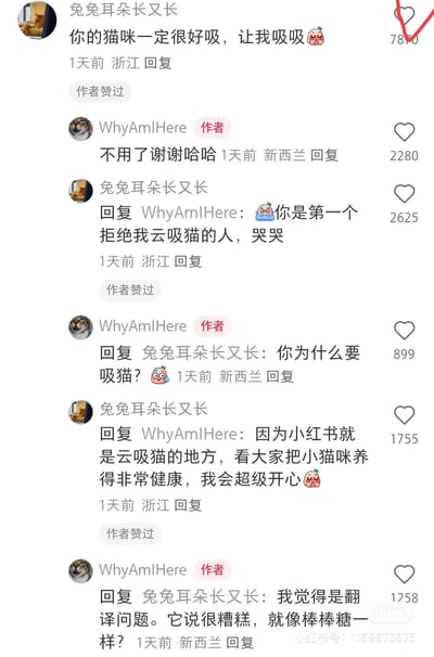 这是小红书平台上的一段趣味评论互动：用户「兔兔耳朵长又长」向作者「WhyAmIHere」提出云吸猫的请求，却被作者直接拒绝；用户委屈表示对方是第一个拒绝自己云吸猫的人，作者随后疑惑询问吸猫原因，用户解释小红书是云吸猫的平台，看到健康的小猫会很开心，没想到作者却误以为是翻译问题，对话充满反差感，十分搞笑。