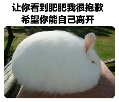 一只毛发蓬松雪白的兔子趴在户外的木质平台上，背景是绿色草地和树影。兔子身体圆滚滚如雪球，粉色耳朵微微耷拉，显得憨态可掬。图片顶部配有黑色粗体文字“让你看到肥肥我很抱歉 希望你能自己离开”，通过可爱的兔子形象与略带傲娇的文字形成幽默反差，营造出轻松搞笑的氛围。