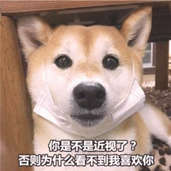 柴犬戴口罩问：你是不是近视了？看不到我喜欢你