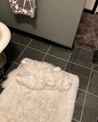 浴室场景中，一只通体雪白的猫咪正四脚朝天地躺在浅色地垫上，身体舒展，露出粉嫩的肚皮，显得十分放松惬意。周围环境可见深灰色瓷砖地面、左侧的白色洗手池、墙上悬挂的黑白花纹毛巾，以及远处门口的棕色地垫，整体氛围温馨日常。