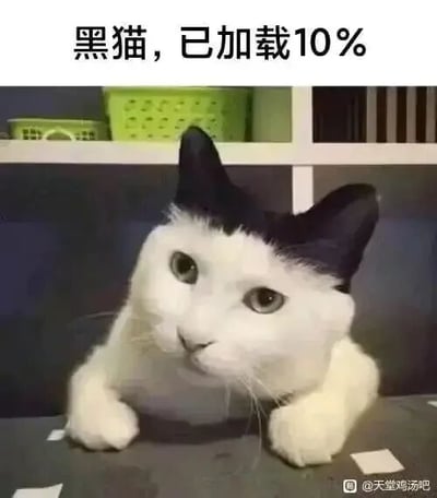 这是一张经过P图改编的静态趣味梗图，图中主体是一只白色猫咪，它的耳朵被修改为黑色，搭配图片顶部的文字“黑猫，已加载10%”，用软件加载进度的创意说法，幽默调侃这只猫咪只有耳朵是黑色，距离“黑猫”的完成度仅为10%，通过反差感制造出搞笑效果。图片右下角带有“@天堂鸡汤吧”的水印标识。