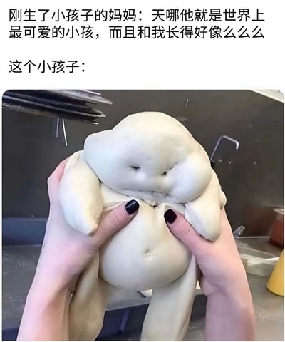 这张梗图通过幽默对比展现了新妈妈的主观视角与客观现实的差距。上方文字描述刚生完孩子的妈妈觉得宝宝是世界上最可爱的,而且和自己长得很像;下方图片则是一双手捧着一个形状怪异、五官模糊的面团/黏土婴儿形象,形成有趣的反差萌效果。
