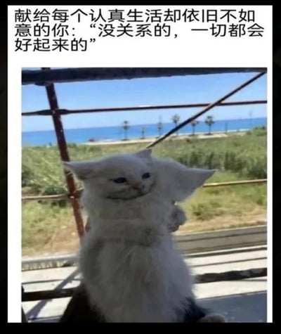这是一张图文混排的P图改编作品，上方配有暖心文字：“献给每个认真生活却依旧不如意的你：‘没关系的，一切都会好起来的’”，下方是经过视觉错位合成的画面：一只白色小猫被处理成自我拥抱的姿态，仿佛在给自己打气，背景是户外的草地，远处可见蓝色的大海与几棵棕榈树，整体画面用可爱治愈的视觉效果，向生活不顺、情绪低落的人传递安慰与鼓励，氛围温暖治愈。