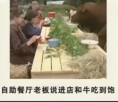 图片展示了一群老人在户外餐桌旁用餐的场景，桌子上摆放着各种餐具和食物。右侧有一头棕色的牛正探过头来，似乎也要加入用餐。图片下方配有文字“自助餐厅老板说进店和牛吃到饱”，通过“和牛”的双关语制造幽默效果——表面上指高档牛肉，实际上画面中是真的牛在和人一起吃。