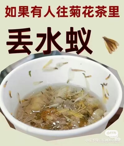 这是一张搞笑整活梗图，图片上方用红色和黑色大字标注“如果有人往菊花茶里 丢水蚁”，下方的白色碗中，菊花茶里混着大量水蚁（飞蚁），水蚁的形态和菊花瓣交织在一起，视觉上呈现出非常恶心、离谱的效果，模拟了被人恶作剧往菊花茶里丢水蚁的糟糕场景，以此制造出荒诞搞笑的氛围，没有双关或谐音梗，纯靠视觉冲击带来整活的趣味。