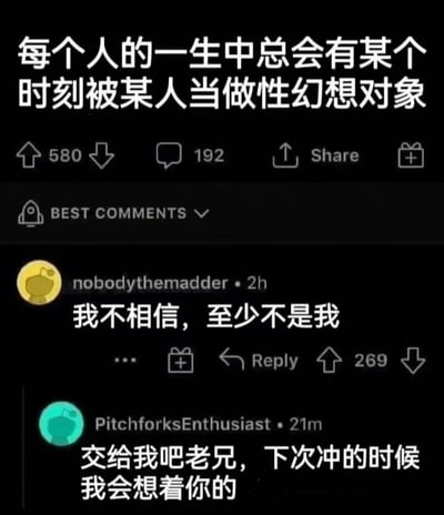 这是一张社交媒体截图，展示了一个关于性幻想话题的讨论。主贴内容为“每个人的一生中总会有某个时刻被某人当做性幻想对象”，下方显示有580个点赞、192条评论和分享按钮。最佳评论区中，用户“nobodythemadder”评论“我不相信，至少不是我”获得了269个点赞，另一位用户“PitchforksEnthusiast”则调侃回复“交给我吧老兄，下次冲的时候我会想着你的”。整体风格幽默，带有自嘲和调侃的意味。