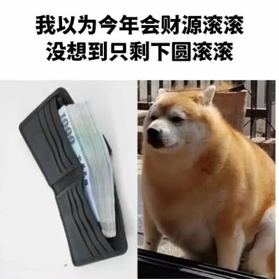 这是一张左右拼接的搞笑吐槽梗图，顶部配有文字“我以为今年会财源滚滚，没想到只剩下圆滚滚”。左侧是一个钱包，其中的钞票通过视觉错觉呈现出膨胀的形态，对应文案里的“财源滚滚”；右侧是一只体态肥胖、表情无奈的柴犬，对应“圆滚滚”。图中利用“财源滚滚”和“圆滚滚”的谐音，以及视觉反差，幽默地调侃了人们在年初期望能赚大钱，到年末却发现不仅没赚到钱，反而体重上涨的无奈现实，精准戳中大众的共鸣点，用轻松搞笑的方式抒发生活里的小失落。