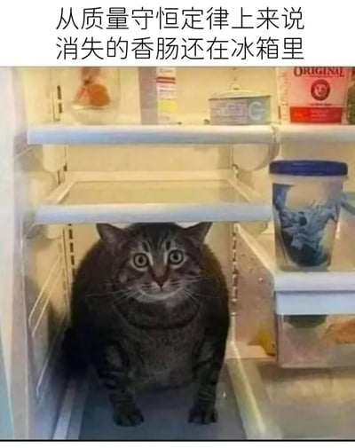 一张冰箱内部的实拍照片，冰箱门呈打开状态，下层空置隔间中赫然坐着一只虎斑猫，它双眼圆睁、瞳孔放大，表情充满惊讶与无辜。冰箱上层摆放着几样食物，包括透明容器装的水果和贴有标签的罐头。图片顶部配有文字“从质量守恒定律上来说 消失的香肠还在冰箱里”，以幽默方式将物理定律与生活场景结合，暗示猫可能是“香肠失踪案”的“幕后黑手”，用科学梗调侃宠物偷食行为。