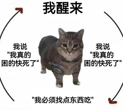 这是一张静态图文混排的网络迷因图，画面核心是一只短腿狸花猫，它眼神涣散、表情疲惫，慵懒地站在纯白背景中，完美契合图中传递的困倦情绪。画面以顺时针的循环箭头串联起四段文字，构建了一个极具共鸣的日常循环：从“我醒来”开启，先后两次重复“我说'我真的困的快死了'”，随后转向“我必须找点东西吃”，之后又回到循环起点，精准还原了当代很多人明明困到极致，却被食欲支配，无法进入休息状态的矛盾又真实的生活场景，用幽默的方式吐槽了这类身不由己的日常。