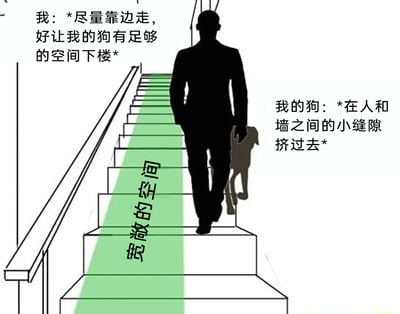 这是一张图文混排的搞笑静态图，画面呈现楼梯场景：主人的黑色剪影主动靠楼梯扶手一侧行走，特意在楼梯中间留出了标注着“宽敞的空间”的绿色区域，配文体现主人的贴心想法——靠边走给狗狗留出足够的下楼空间；但狗狗的剪影却反其道而行之，选择在主人和墙之间的狭小缝隙里挤着下楼，配文对应狗狗的行为。图中通过主人的贴心安排和狗狗的“反套路”选择形成强烈反差，生动还原了宠物让人摸不着头脑的奇怪行为，充满生活趣味和搞笑效果。