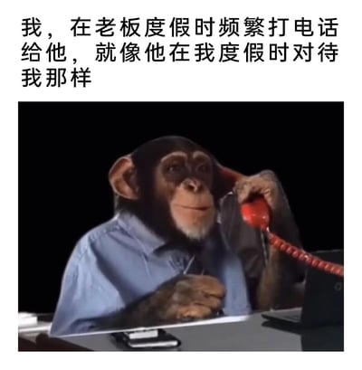 这是一张充满戏谑感的职场梗图，上方配有文字：“我，在老板度假时频繁打电话给他，就像他在我度假时对待我那样”，下方是一只穿着蓝色衬衫的猩猩坐在办公桌前，手持红色老式电话听筒打电话，神态略带狡黠。图片用拟人化的猩猩形象，结合反向操作的文字内容，吐槽了职场中老板在员工私人度假时间频繁打扰工作的普遍现象，以“以其人之道还治其人之身”的方式，精准戳中职场人的共鸣点，用幽默的方式表达对职场边界感缺失的不满。
