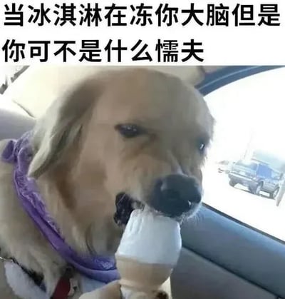 这是一张搞笑表情包，属于顶配底文的图文混排形式，顶部配文为“当冰淇淋在冻你大脑但是你可不是什么懦夫”，下方主体是坐在车内、佩戴紫色牵引背带的金毛犬，它正叼着冰淇淋甜筒，表情倔强，仿佛在强忍吃冰淇淋引发的冰大脑不适，将人吃冰时硬扛不适的心态投射到动物身上，充满搞笑反差感。