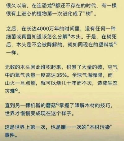 这是一张纯文字科普类图片，以轻松有趣的口吻讲述了地球历史上一次独特的“木材污染”事件：远古时期植物进化成树后，由于细菌和真菌无法分解木材，导致木头大量堆积（类比现代塑料袋污染），引发氧气含量飙升至35%、山火持续数十年等生态问题，最终被掌握降解木材技巧的蘑菇解决，成为世界上第一次也是唯一一次“木材污染”。