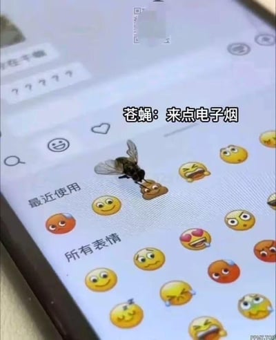 这是一张手机表情选择界面的实拍截图，一只真实的苍蝇恰好停在了便便💩表情上。图片上方配有拟人化的文字“苍蝇：来点电子烟”，利用苍蝇喜爱污秽物的习性，将便便emoji调侃成苍蝇的“电子烟”，用拟人化的玩梗方式制造出滑稽的反差感，让日常抓拍的小瞬间变得搞笑有趣，充满了生活化的趣味。