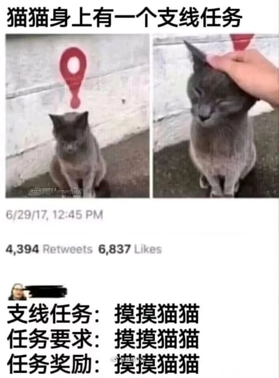 这是一张结合宠物与游戏梗的趣味二次创作图，采用左右对比的呈现形式：左侧图中一只灰猫安静端坐在地面，头顶被添加了游戏里代表支线任务的红色感叹号，搭配顶部文字“猫猫身上有一个支线任务”；右侧图里一只手抚摸这只灰猫的头部，猫咪眯起双眼，露出十分享受满足的神情。图下方模仿游戏任务的格式配文，将“摸摸猫猫”同时设定为任务内容、要求与奖励，把日常撸猫的行为趣味化类比为游戏支线任务，充满反差萌，治愈感拉满。图中还显示这是2017年6月29日12:45发布在推特（X）的内容，获得了4394次转发与6837次点赞，同时带有微博用户@糖唐小V和“迷因传Memeditek”的水印，是在宠物爱好者与游戏爱好者群体中流行的治愈系搞笑梗图。